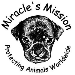 Miracle's Mission